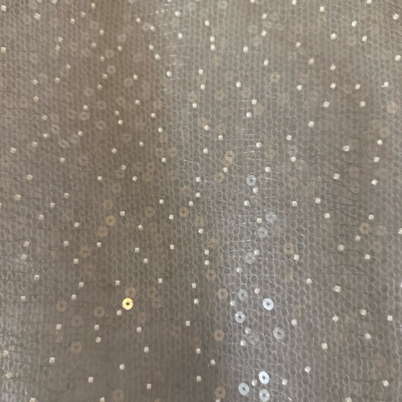 Zara Silver Sequin Sheer Long-Sleeve Top, Brand New, No Sticker - Picture 5 of 7